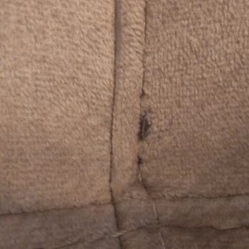 Doğtaş Mobilya'dan Aldığım Koltuk Takımında Üretim Hatası Ve Garanti Sorunu