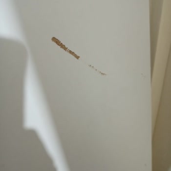 Koçtaş İlgisizliği Ve Sorumsuzluğu