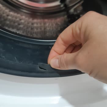 Bosch Serie/4 10 Kg Çamaşır Makinesi Körük Lastiği Yırtıldı