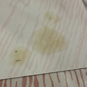 Halis Temizlik (İstanbul) Halım Kirli Diye Verdim Daha Çok Kirli Geldi