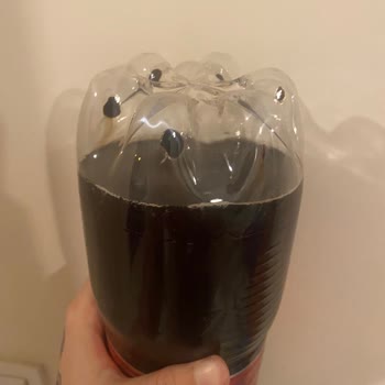 Çaykur Didi Bergamot Sorunu