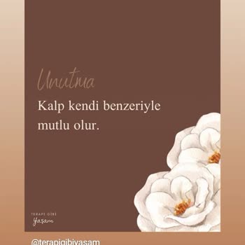 TikTok Takipçi Fiyatların Aradım Bulamadım