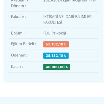 Fenerbahçe Üniversitesi Ücret Ödeme Ekranının Düzeltilmesi