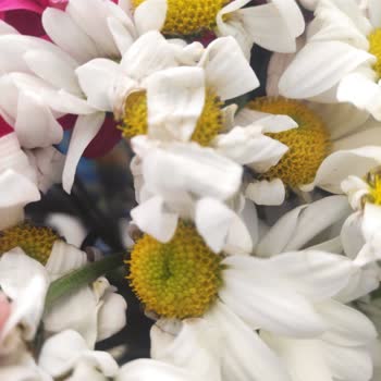 Limon Çiçekçilik (Bodrum) Günlerce Beklemiş Ve Solmuş Çiçekleri Tarafıma İlettiler