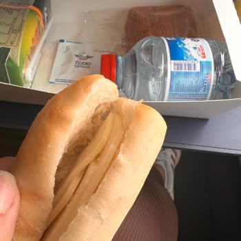 YHT (Yüksek Hızlı Tren) Business Vagonda Yemek Yetersizliği