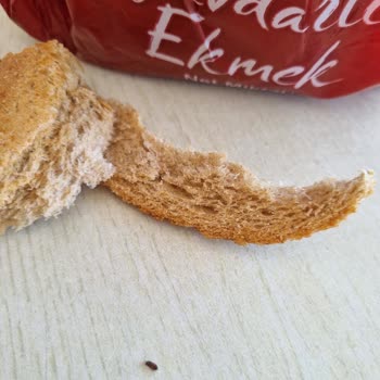 BİM Marketlerde Satılan Ekmekten Böcek Çıktı!