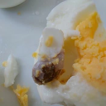 Bilken Yumurta Haşlanan Yumurta İçerisinde Tuhaf Sert Siyah Cisim.