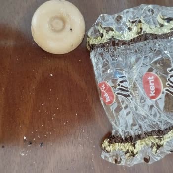 Kent Şekerleri Şekerden Çıkan Böcek