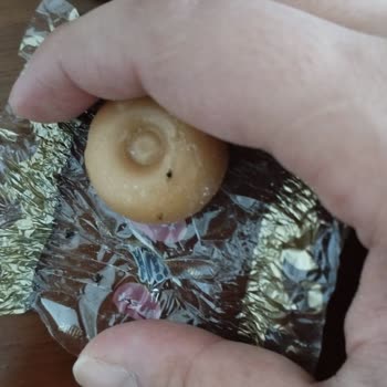 Kent Şekerleri Şekerden Çıkan Böcek