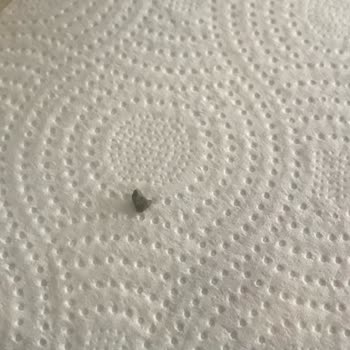 Mom's Natural Foods Sözde Organik Diyerek Tüketiyoruz