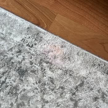 İzmir Efe Halı Yıkama Halıma Zarar Verdi