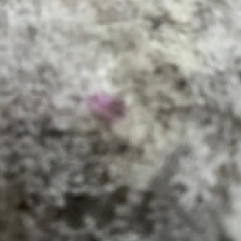 İzmir Efe Halı Yıkama Halıma Zarar Verdi