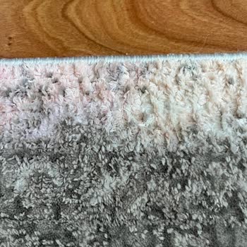 İzmir Efe Halı Yıkama Halıma Zarar Verdi