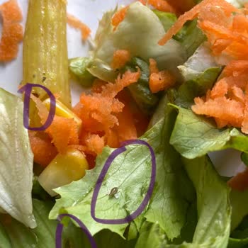 Çatlak Tavuk 'tan Aldığım Üründe Böcek Çıkması