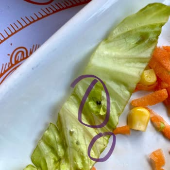 Çatlak Tavuk 'tan Aldığım Üründe Böcek Çıkması