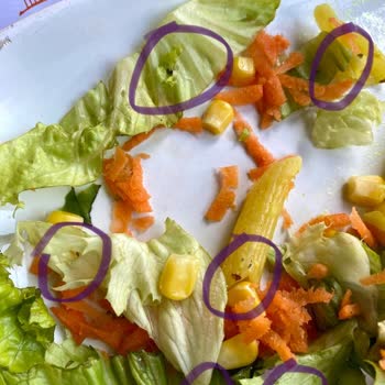 Çatlak Tavuk 'tan Aldığım Üründe Böcek Çıkması