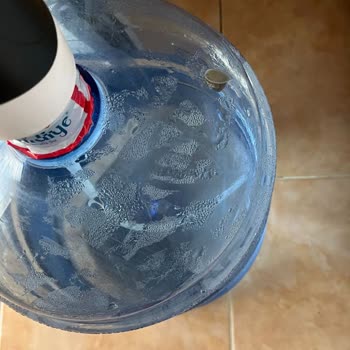 Hamidiye Su İçinde Canlı Salyangoz