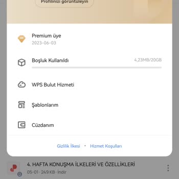WPS Office Fazladan Para Kesiyor