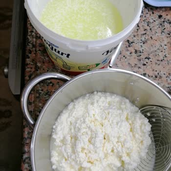 Çamlıbel Gıda 'dan Aldığım Süt Kesilmişti