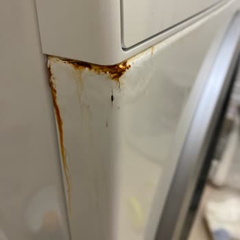 Bosch Çamaşır Makinesi Paslanma