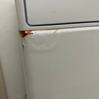 Bosch Çamaşır Makinesi Paslanma