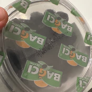 Bağcı Zeytin Son Kullanma Tarihi