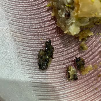 Alimoğlu Baklava Yanmış Simsiyah Ceviz!