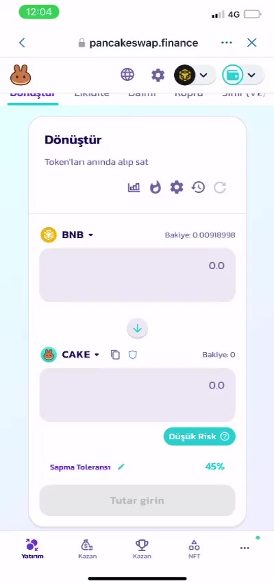 I Can't Sell The Shardeum Coins I Bought On Pancakeswap video cover