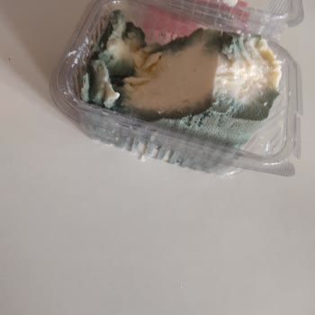 Torunoğlu Süt Peynir Küflenmesi Ve Kokması