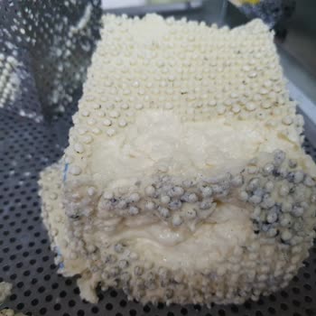 Mayakoy.com.tr İade Kabul Edilmeyen Kötü Ürün