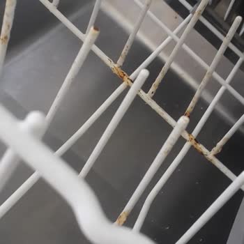 Siemens Bulaşık Makinesi Sepetlerinde Küflenme