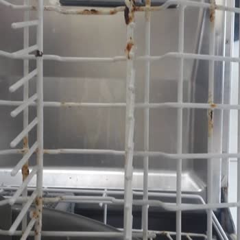 Siemens Bulaşık Makinesi Sepetlerinde Küflenme