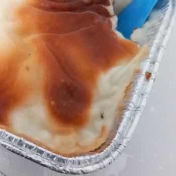 Şok Marketler Bozulmuş Ve Sinekli Ürün