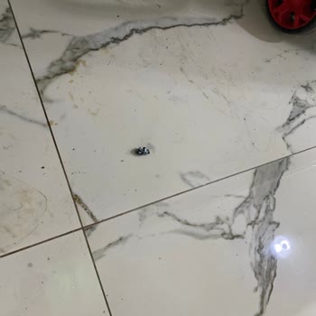 Mix Bina Yönetimi Temizlik Şirketi Çöp Almaması