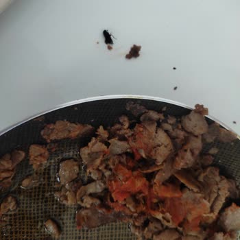 BİM Emin Döner Değil Böcek Döner