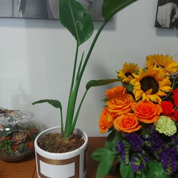 ÇiçekSepeti Uygunsuz Ürün Teslimi.