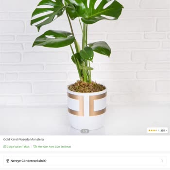 ÇiçekSepeti Uygunsuz Ürün Teslimi.