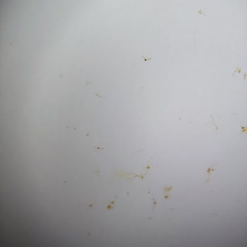 Vestel Akıllı NFY620 P Buzdolabında Yaşadığımız Pas Sorunu