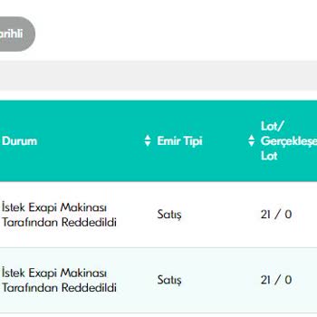 Türkiye Finans Hisse Senedi İşlemleri, Kendi Kendine İptal Edilen Emir