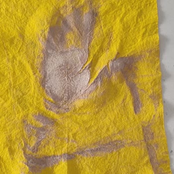 Hanımeli Temizlik Ev Temizliği Hizmeti Beklentilerimi Karşılamadı