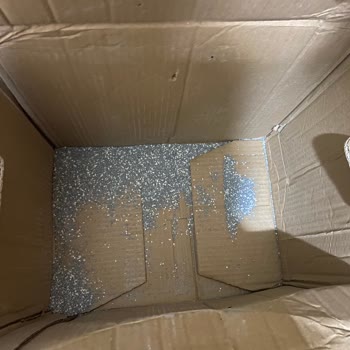 Petzzshop Kedi Kumu Zayi Olmuş. Kargonun Gelmemesi