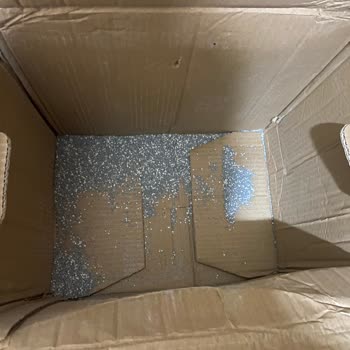 Petzzshop Kedi Kumu Zayi Olmuş. Kargonun Gelmemesi