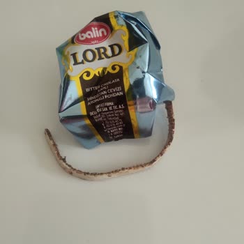 Tuğlubey Balın Lord Hindistan Ceviz Aromalı Fondan İçerisinde Lastik Çıktı