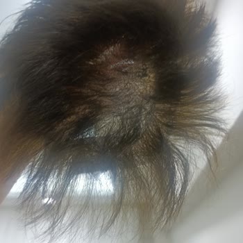 Hairplus Protez Saç Ürünleri Kalitesiz