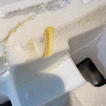 Kitchenaid Gurme Chef Mixer Arızası