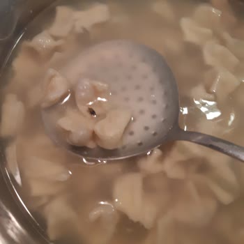 İnci Mantı Mantıya Yapışık Böcek