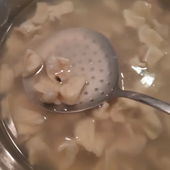 İnci Mantı Mantıya Yapışık Böcek