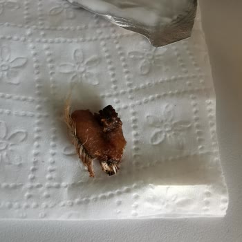 Köfteci Yusuf Dönerin İçerisinden Çıkan Deri Parçası