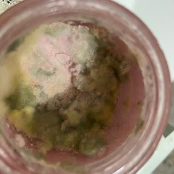 The Purest Solutions Enzim Peeling Ve Müşteri Hizmetleri