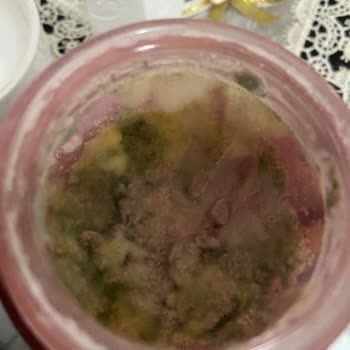 The Purest Solutions Enzim Peeling Ve Müşteri Hizmetleri